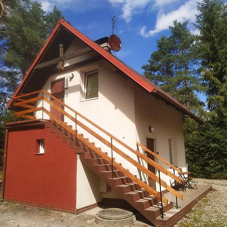 Domek Na Kaszubach Konarzyny Exterior foto